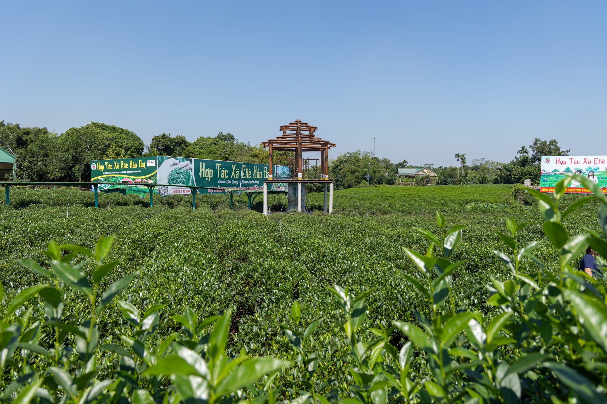 Tour Tân Cương - La Bằng - Hồ Núi Cốc 2N1Đ 2